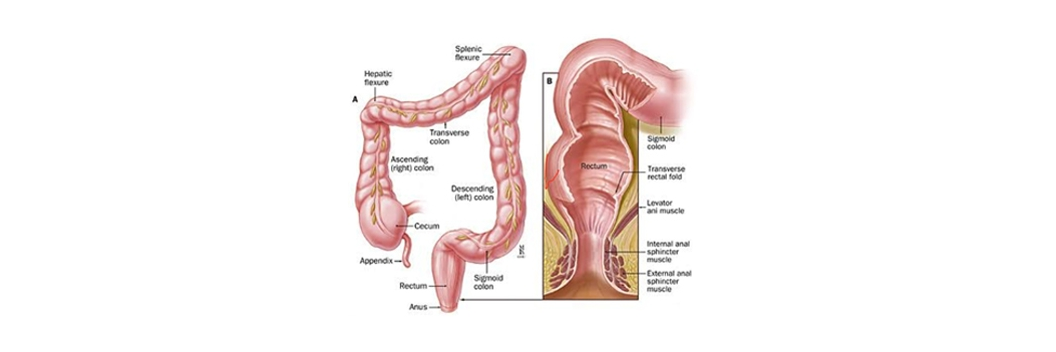 Colorectal