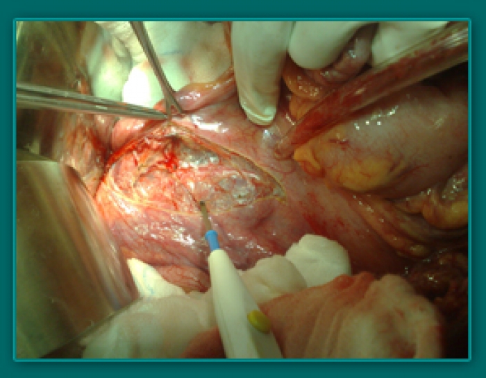 1733835648_0f20f07f12a915dd59c0