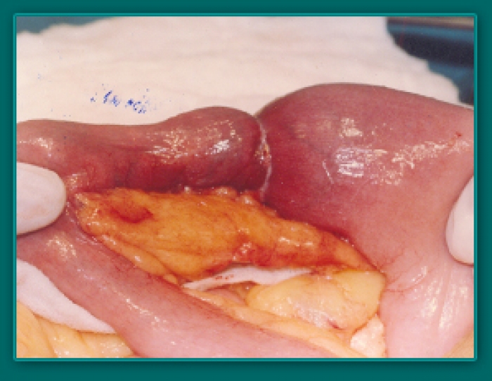 1733836073_803de121ae33d60ba0c0