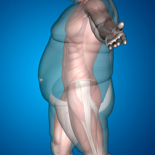 Surgeon and patient reviewing a weight loss treatment plan during a bariatric consultation in Dubai